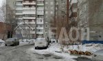 Фотография объекта