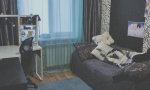 Фотография объекта