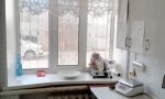 Фотография объекта