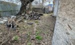 Фотография объекта