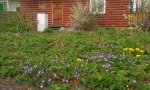 Фотография объекта