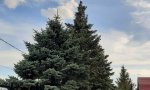 Фотография объекта