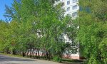 Фотография объекта