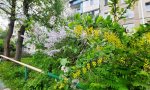 Фотография объекта