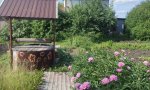 Фотография объекта