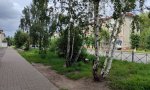 Фотография объекта