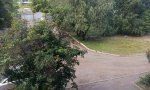 Фотография объекта