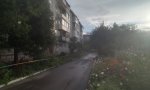 Фотография объекта