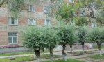 Фотография объекта