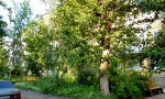 Фотография объекта