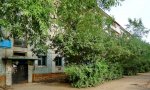 Фотография объекта